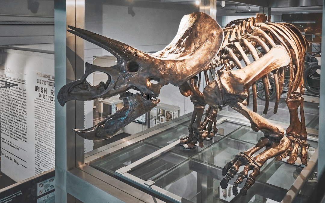 a dinosaur skeleton in a museum display case