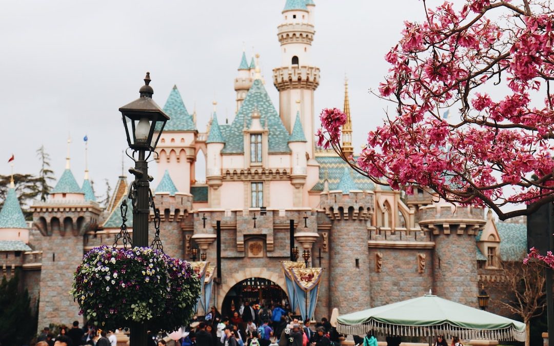 The Best Time to Visit Walt Disney World