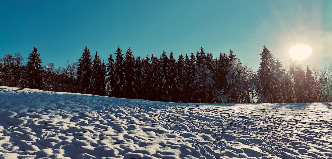a snow covered hill with trees in the background