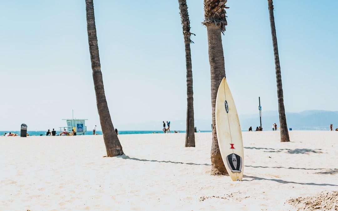 selective focus photography of white surfboard