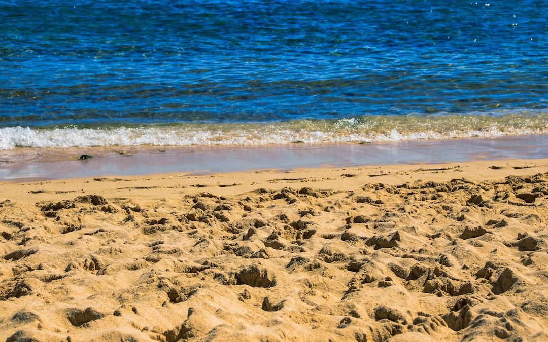 brown sand near body of water during daytime