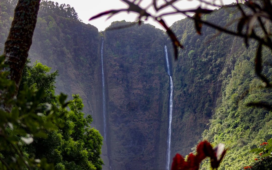 a waterfall in a forest