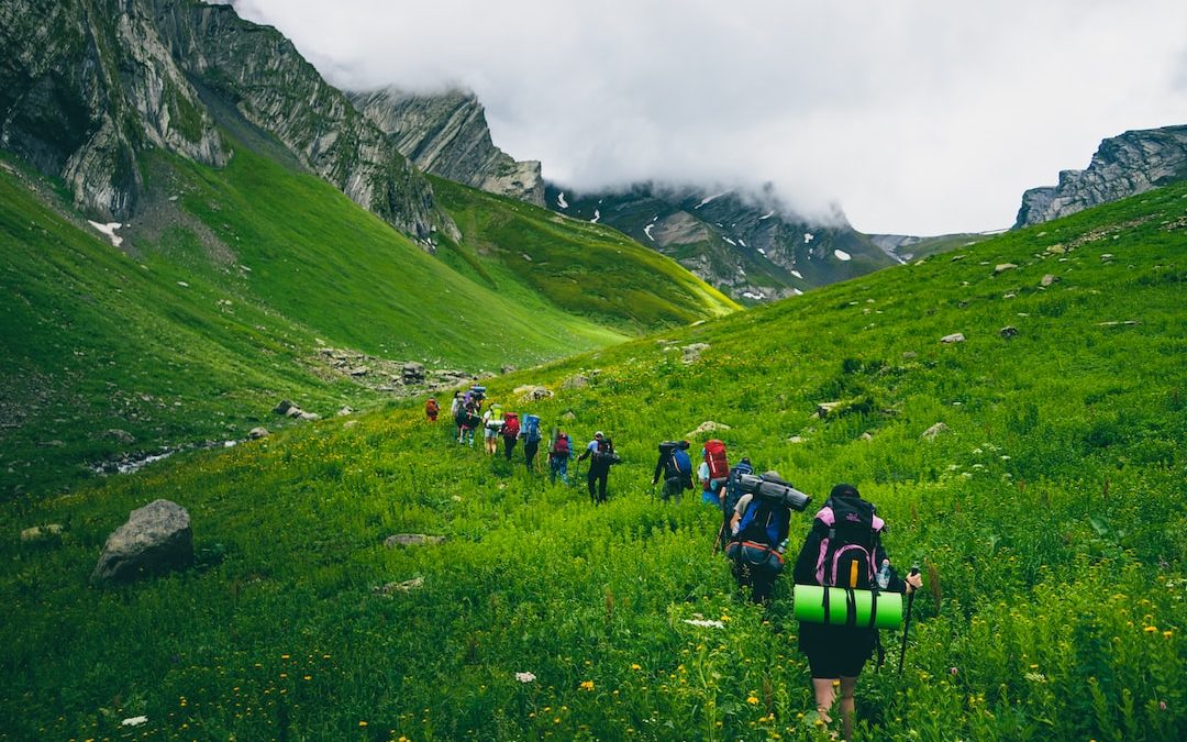 people hiking on green grass field during daytime