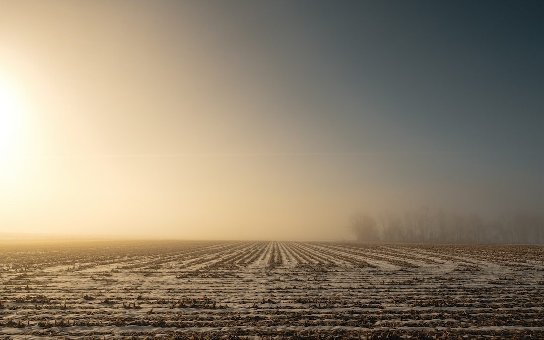 a large field with snow on the ground