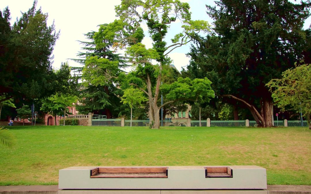 a bench sitting in the middle of a park