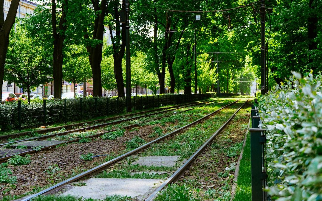 train rail near green trees during daytime