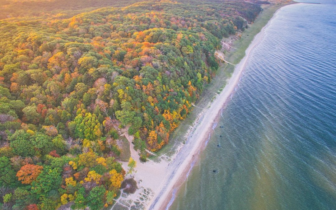 Exploring The Best Beaches in Chicago