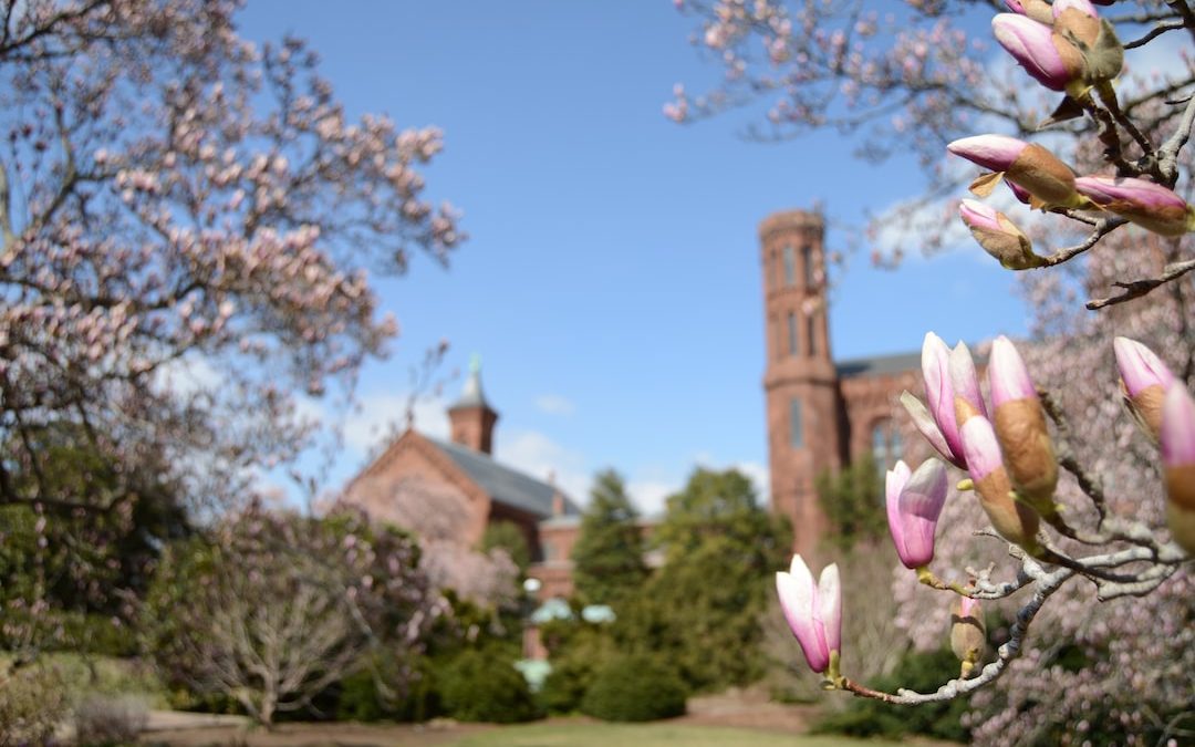 Uncovering the History at the Smithsonian Museums