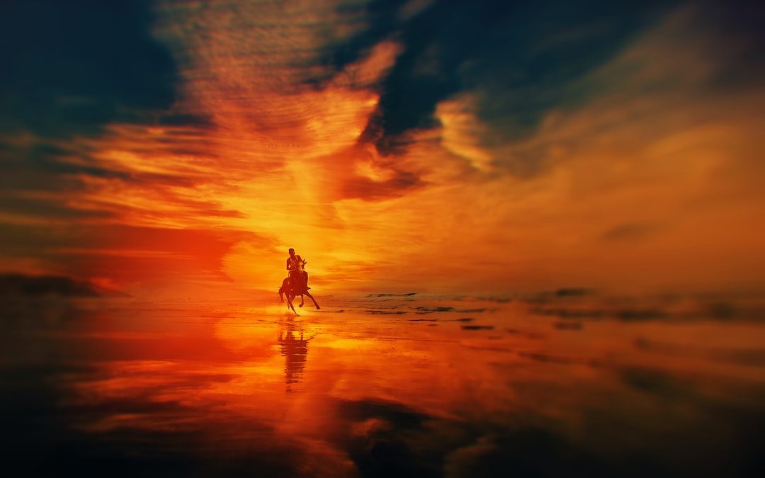 silhouette of man riding a horse