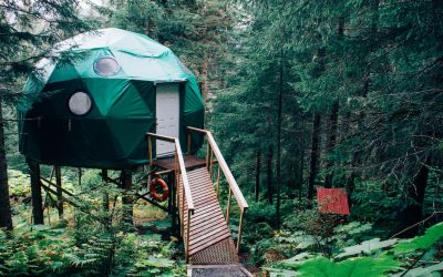 Camping in Bellevue: The Best Spots for a Weekend Getaway