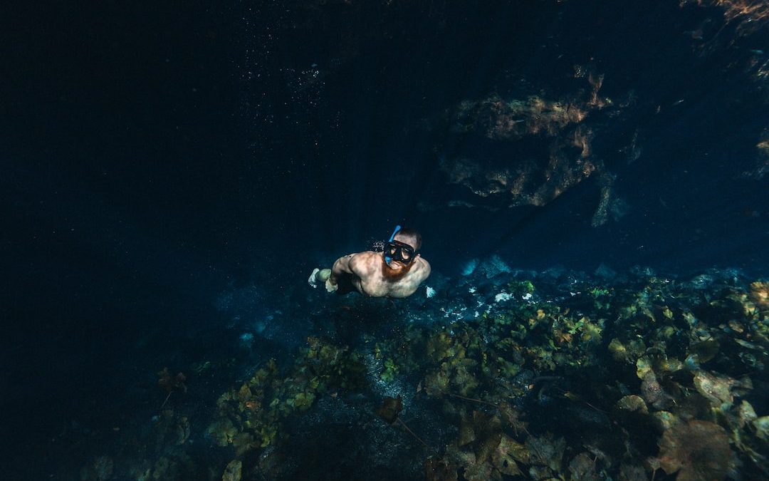 Take a Dive: Exploring the Cenotes of Riviera Maya