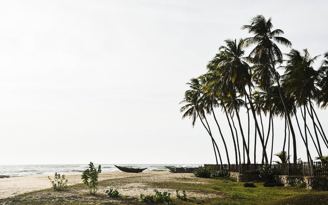 boat on shore near trees and ocean during daytime