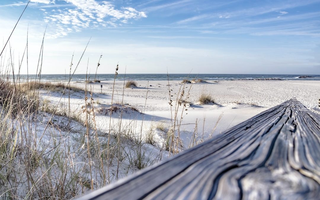 a wooden bench sitting on top of a sandy beach