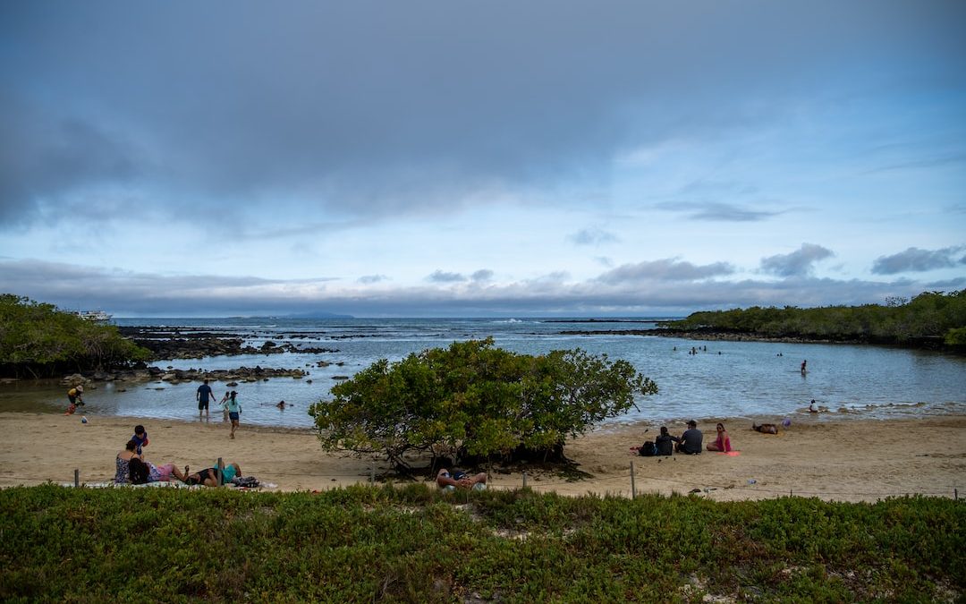 a group of people on a beach