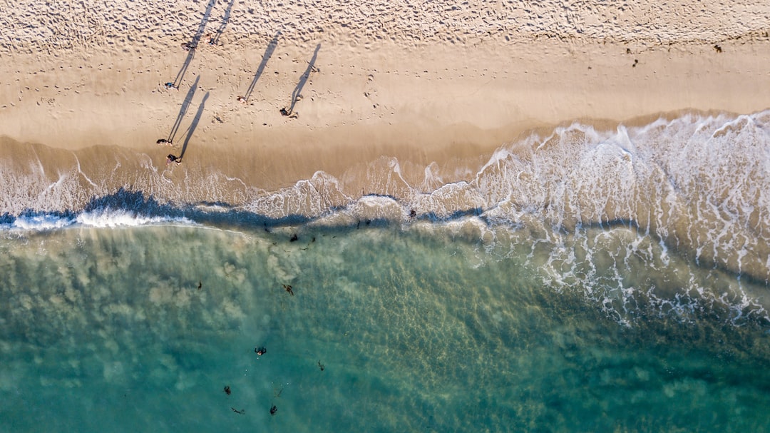 aerial view of people on beach during daytime