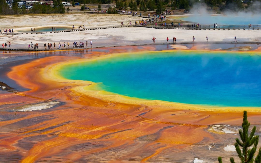 The Best Time to Visit Yellowstone in Summer