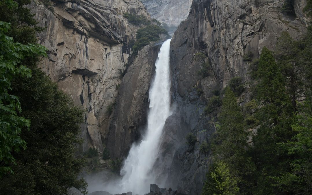 waterfalls surrounded with tree