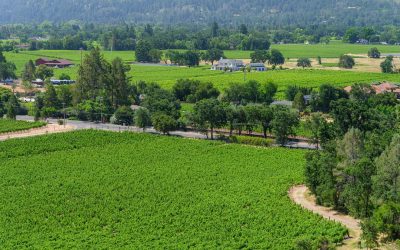 “The Best Time to Visit Napa Valley”