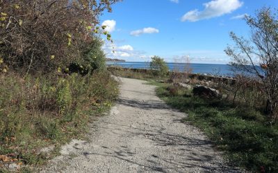 Exploring the Best Hiking Trails in Toronto